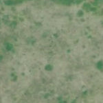 North Dakota Game and Fish Department Nieuwsma Dam - Emmons County digital map