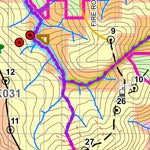 North East Forest Alliance Harvest Plan Map of Clouds Creek State Forest compartments 30 to 33 digital map