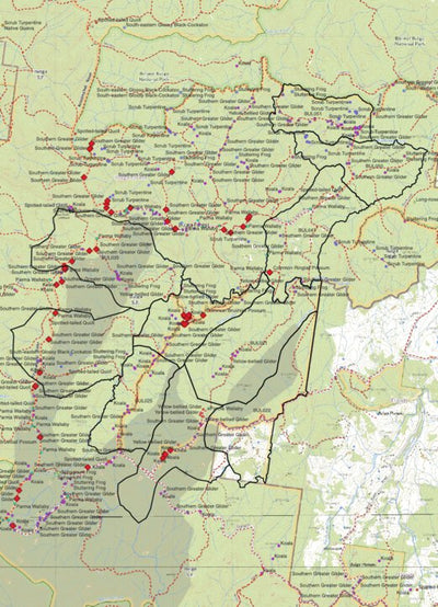 North East Forest Alliance Save Bulga Forests survey area with Nationally Threatened Species records from Bionet digital map