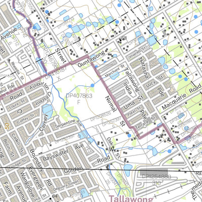 Riverstone 9030-1S Preview 2