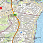 Wyong 9131-2N Preview 3