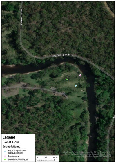 Flora records in Royal National Park, NSW Australia Preview 1