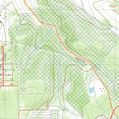 nswtopo 2130-3N BRIDGETOWN NORTH digital map