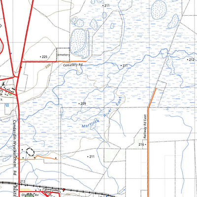 nswtopo 2334-N CUNDERDIN & TAMMIN digital map