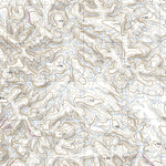 nswtopo 2551-S SNOWY MOUNT & KOOINANA digital map