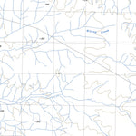nswtopo 2955-N GNUMBINA & BULLGARINA digital map