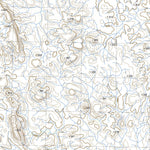 nswtopo 2955-N GNUMBINA & BULLGARINA digital map