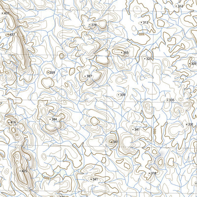 nswtopo 2955-N GNUMBINA & BULLGARINA digital map
