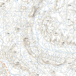 nswtopo 2955-S MOUNT EDGAR & MEENTHEENA digital map