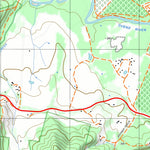 nswtopo 8224-1-S BRIGHT SOUTH digital map