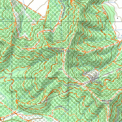 nswtopo 8224-1-S BRIGHT SOUTH digital map