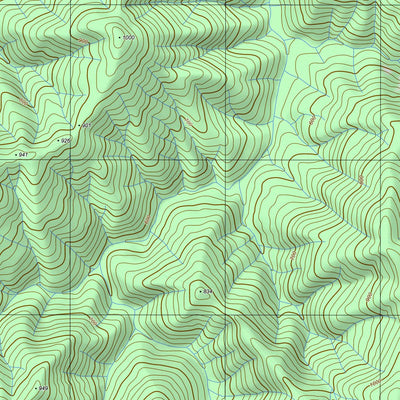 nswtopo 8224-2-S BUFFALO SOUTH digital map