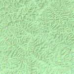 nswtopo 8422-4-N TAYLOR NORTH digital map