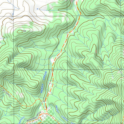 nswtopo 8425-3-N CRAVENSVILLE NORTH digital map