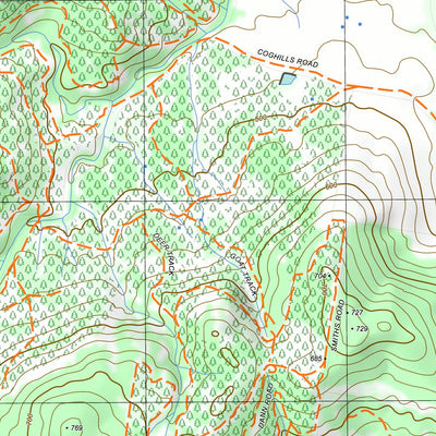 nswtopo 8425-4-S SHELLEY SOUTH digital map