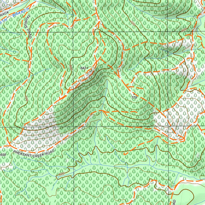 nswtopo 8425-4-S SHELLEY SOUTH digital map