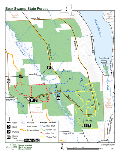 Bear Swamp State Forest Preview 1