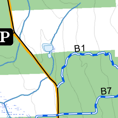 Bear Swamp State Forest Preview 2