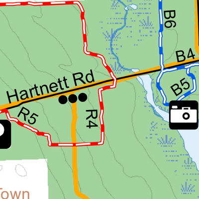 Bear Swamp State Forest Preview 3