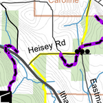 Danby State Forest Preview 3