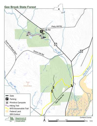 Gee Brook State Forest Preview 1
