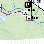 Gee Brook State Forest Preview 3