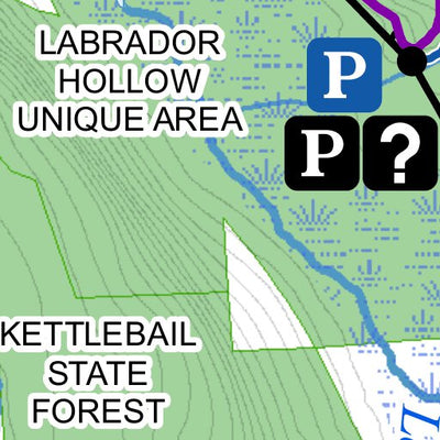 NYSDEC Morgan Hill State Forest digital map