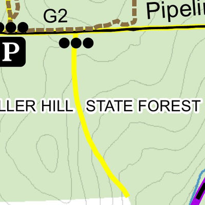 Tuller Hill State Forest Preview 2