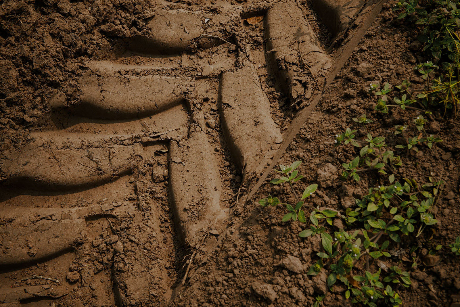Tire track in mud