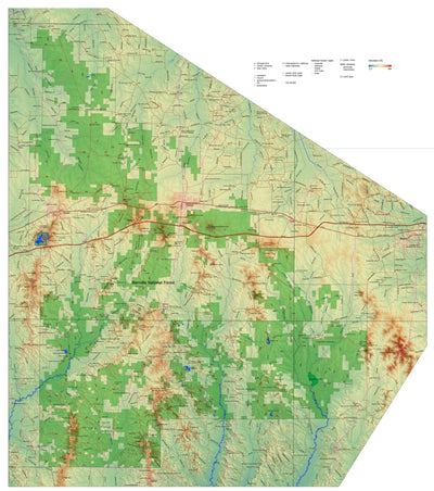 Bienville National Forest (topo) Preview 1