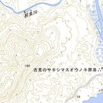 Pacific Spatial Solutions, Inc. 362337 Okinawa, Taketomi-cho digital map