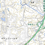 Pacific Spatial Solutions, Inc. 392746 沖縄市北部（おきなわしほくぶ Okinawashihokubu）, 地形図 digital map