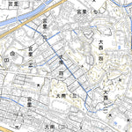 Pacific Spatial Solutions, Inc. 392777 名護（なご Nago）, 地形図 digital map