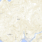 Pacific Spatial Solutions, Inc. 422931 宇検（うけん Uken）, 地形図 digital map