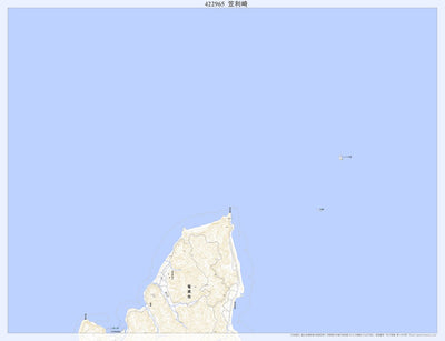Pacific Spatial Solutions, Inc. 422965 笠利崎（かさりざき Kasarizaki）, 地形図 digital map