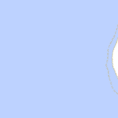 Pacific Spatial Solutions, Inc. 453046 Kagoshima, Minamitane-cho digital map