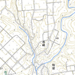 Pacific Spatial Solutions, Inc. 463073 薩摩石垣（さつまいしかき Satsumaishikaki）, 地形図 digital map
