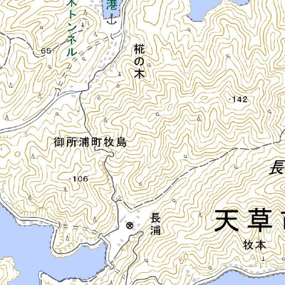 Pacific Spatial Solutions, Inc. 483042 棚底（たなそこ Tanasoko）, 地形図 digital map
