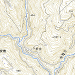 Pacific Spatial Solutions, Inc. 483152 清水岳 （しみずだけ Shimizudake）, 地形図 digital map