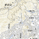 Pacific Spatial Solutions, Inc. 483165 延岡 （のべおか Nobeoka）, 地形図 digital map
