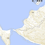 Pacific Spatial Solutions, Inc. 492962 野子 （のこ Noko）, 地形図 digital map