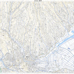 Pacific Spatial Solutions, Inc. 493020 諌早（いさはや Isahaya）, 地形図 digital map