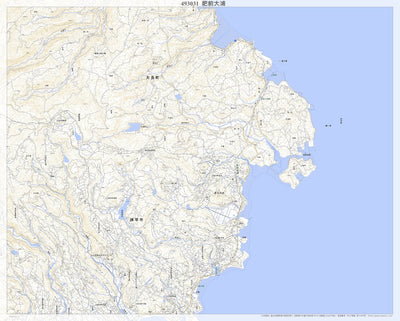 Pacific Spatial Solutions, Inc. 493031 肥前大浦（ひぜんおおうら Hizenoura）, 地形図 digital map