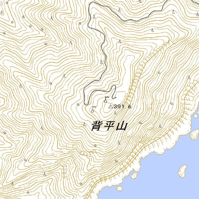 Pacific Spatial Solutions, Inc. 493117 蒲江 （かまえ Kamae）, 地形図 digital map