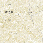 Pacific Spatial Solutions, Inc. 493121 根子岳 （ねこだけ Nekodake）, 地形図 digital map