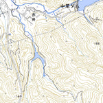 Pacific Spatial Solutions, Inc. 493166 坂ﾉ市 （さかのいち Sakanoichi）, 地形図 digital map
