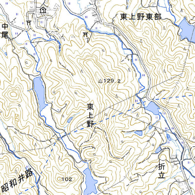Pacific Spatial Solutions, Inc. 493166 坂ﾉ市 （さかのいち Sakanoichi）, 地形図 digital map