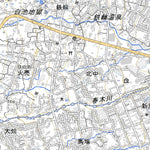 Pacific Spatial Solutions, Inc. 493173 別府西部 （べっぷせいぶ Beppuseibu）, 地形図 digital map