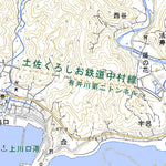 Pacific Spatial Solutions, Inc. 493340 土佐佐賀 （とささが Tosasaga）, 地形図 digital map