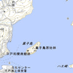 Pacific Spatial Solutions, Inc. 502904 平戸（ひらど Hirado）, 地形図 digital map